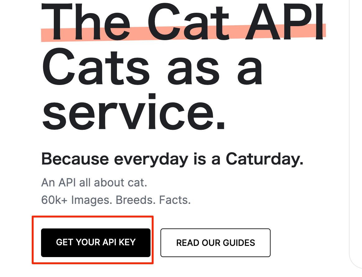 ランダムな猫の画像を表示するアプリを作ってみよう！ | ジョイタスネット